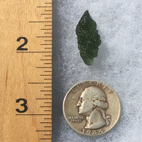 Genuine Moldavite 1.9 grams-Moldavite Life