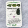 Genuine Moldavite 1.9 grams-Moldavite Life