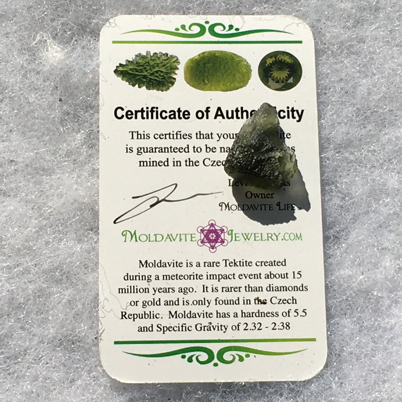 Genuine Moldavite 2.0 grams-Moldavite Life