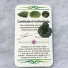 Genuine Moldavite 2.1 grams-Moldavite Life