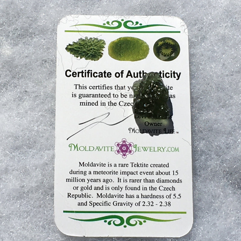 Genuine Moldavite 2.3 grams-Moldavite Life