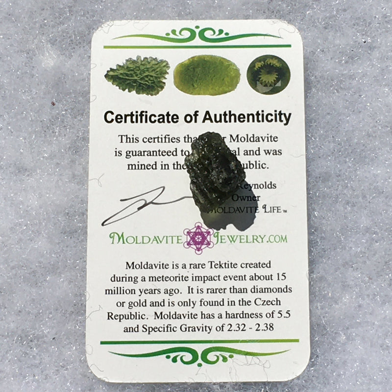 Genuine Moldavite 2.4 grams-Moldavite Life