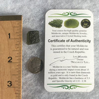 Genuine Moldavite 2.5 grams-Moldavite Life