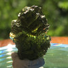 Genuine Moldavite 2.6 grams-Moldavite Life