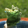 Genuine Moldavite 2.6 grams-Moldavite Life