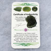 Genuine Moldavite 3.1 grams-Moldavite Life