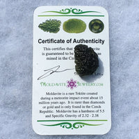 Genuine Moldavite 3.2 grams-Moldavite Life