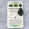 Genuine Moldavite 3.5 grams-Moldavite Life