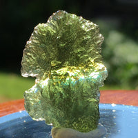 Genuine Moldavite 3.6 grams 536-Moldavite Life