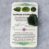 Genuine Moldavite 3.6 grams-Moldavite Life