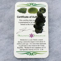 Genuine Moldavite 3.9 grams 542-Moldavite Life