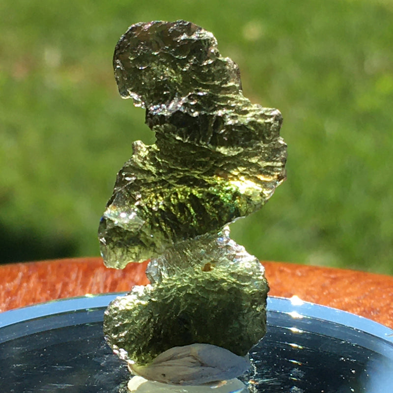 Genuine Moldavite 3.9 grams 542-Moldavite Life