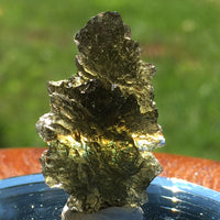 Genuine Moldavite 4.0 grams-Moldavite Life
