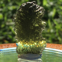 Genuine Moldavite 4.3 grams-Moldavite Life