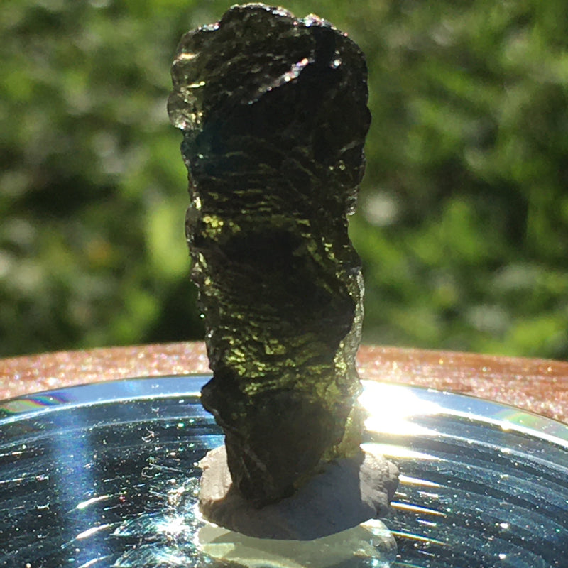 Genuine Moldavite 4.3 grams-Moldavite Life