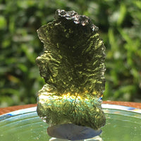 Genuine Moldavite 4.3 grams-Moldavite Life