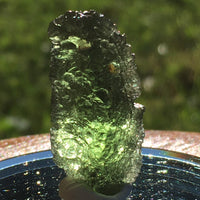 Genuine Moldavite 4.3 grams-Moldavite Life