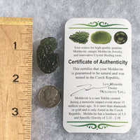 Genuine Moldavite 4.4 Grams-Moldavite Life