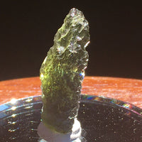 Genuine Moldavite 4.4 Grams-Moldavite Life