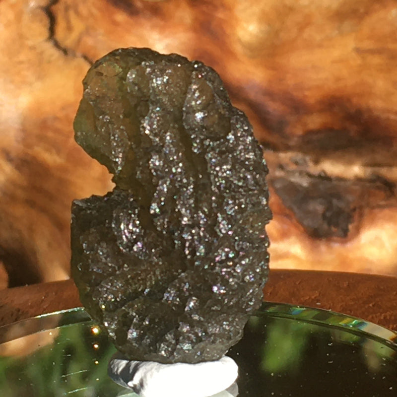 Genuine Moldavite 4.4 Grams-Moldavite Life