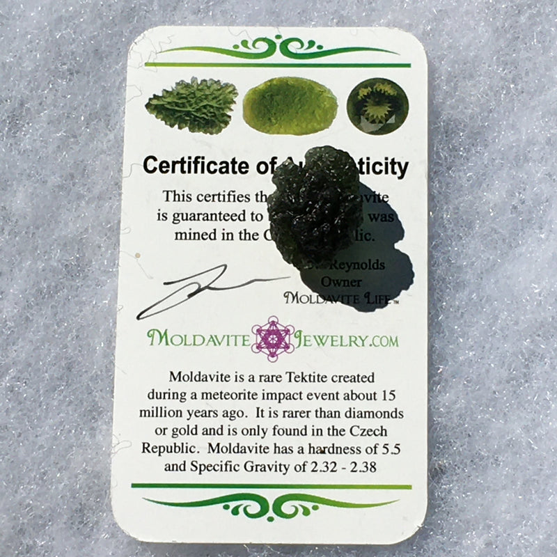 Genuine Moldavite 4.7 grams-Moldavite Life