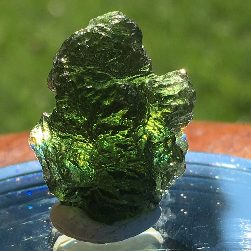 Genuine Moldavite 4.7 grams-Moldavite Life