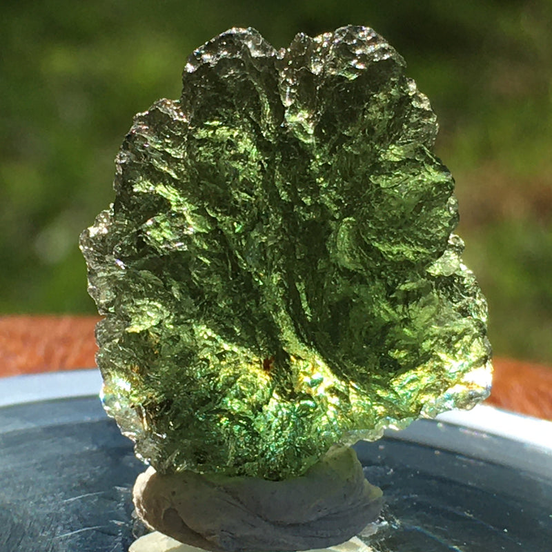Genuine Moldavite 4.7 grams-Moldavite Life