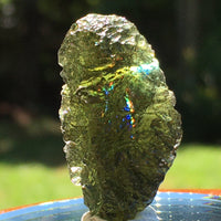 Genuine Moldavite 5.4 grams-Moldavite Life