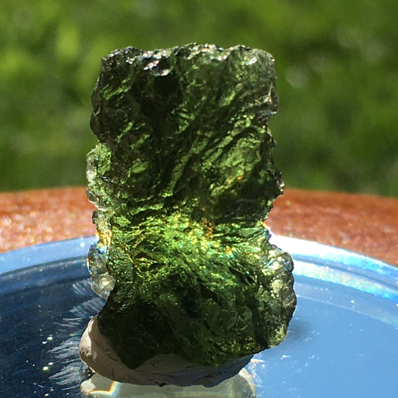Genuine Moldavite 5.7 grams-Moldavite Life