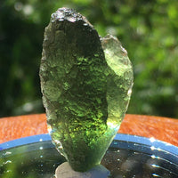 Genuine Moldavite 6.0 grams-Moldavite Life