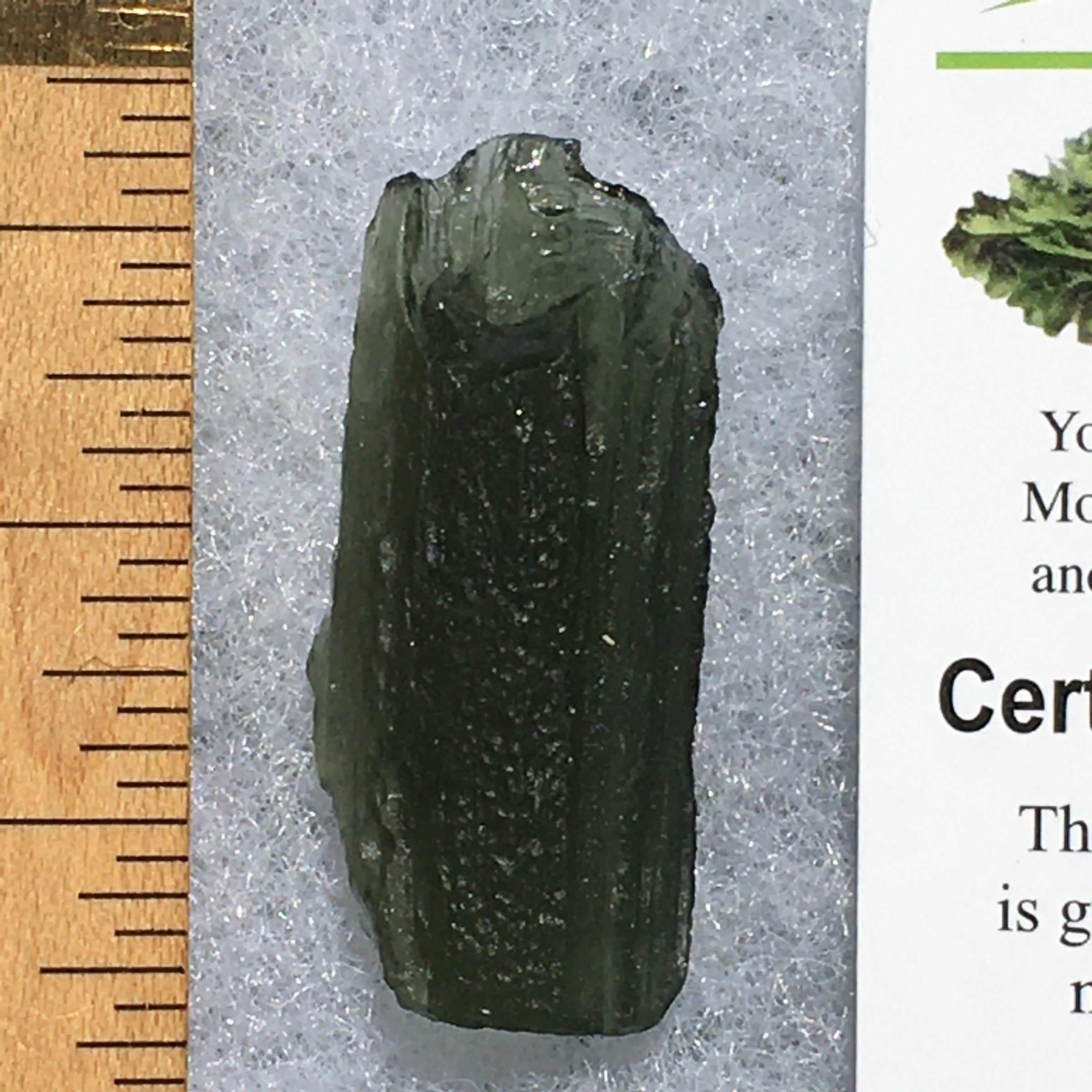 Genuine Moldavite 6.5 grams-Moldavite Life