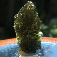 Genuine Moldavite 6.7 grams 539-Moldavite Life