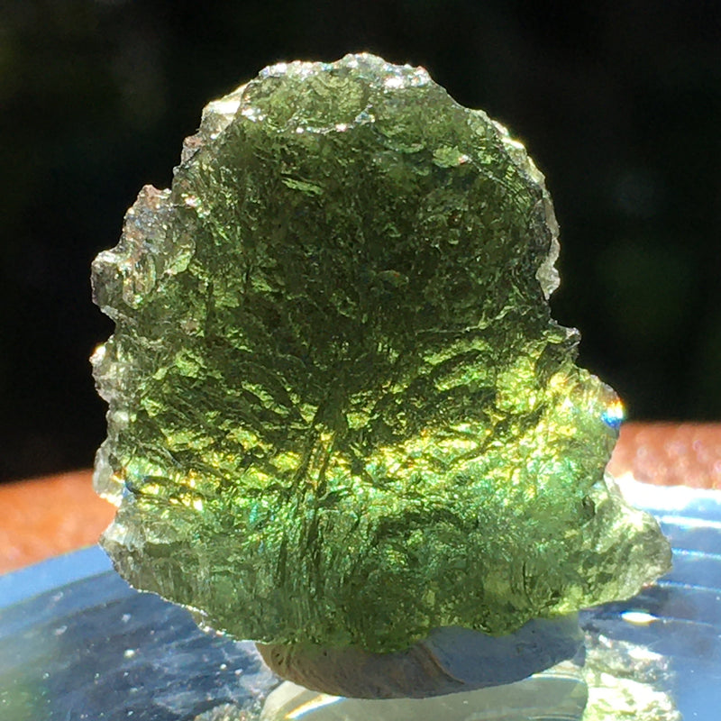 Genuine Moldavite 6.8 grams 538-Moldavite Life