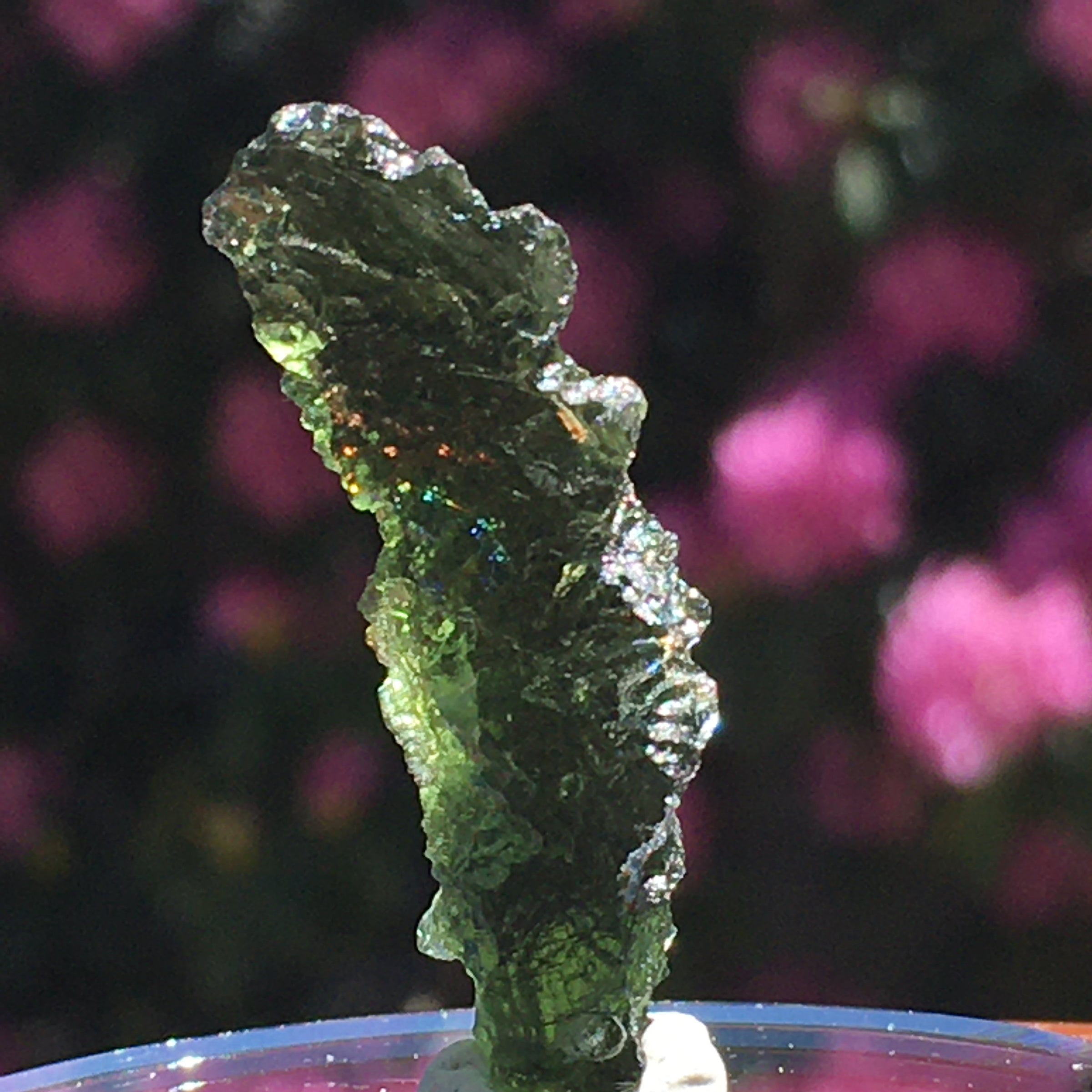 Genuine Moldavite 6.9 grams-Moldavite Life