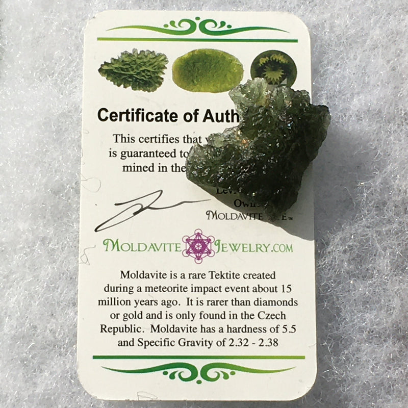 Genuine Moldavite 6.9 grams-Moldavite Life