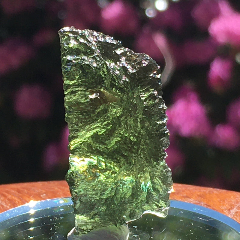 Genuine Moldavite 6.9 grams-Moldavite Life