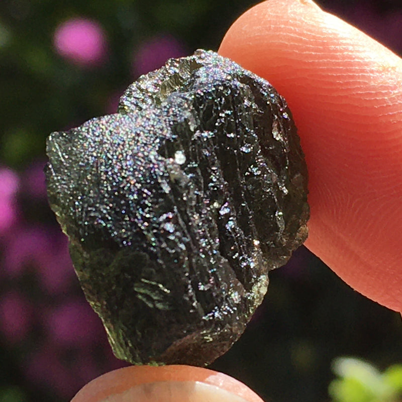 Genuine Moldavite 7.7 grams-Moldavite Life