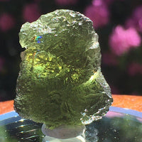 Genuine Moldavite 7.7 grams-Moldavite Life