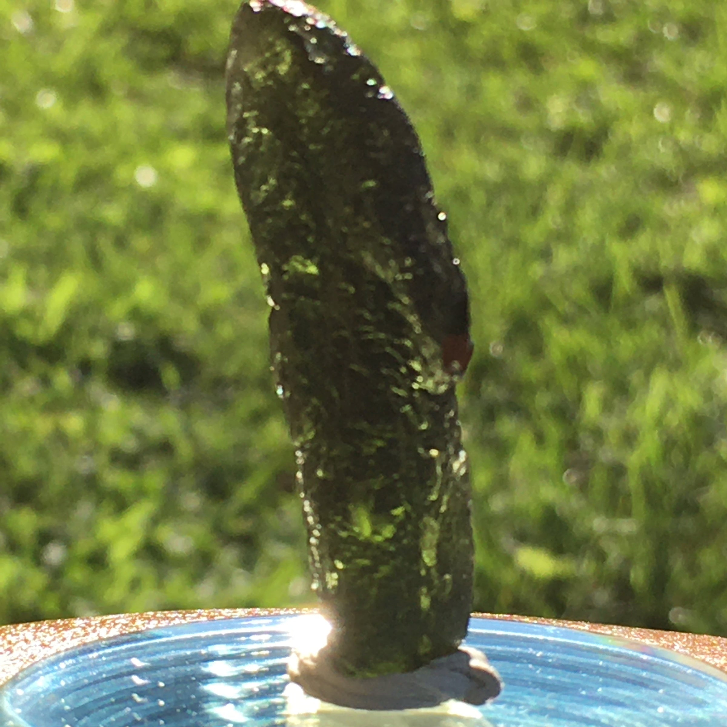 Genuine Moldavite 8.7 grams-Moldavite Life