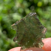 thin green besednice moldavite tektite held up on display to show details