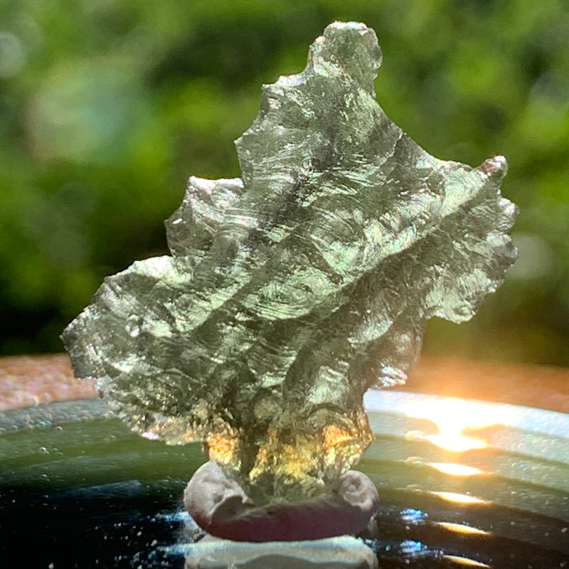 sun reflects light flare behind the thin green besednice moldavite tektite on display