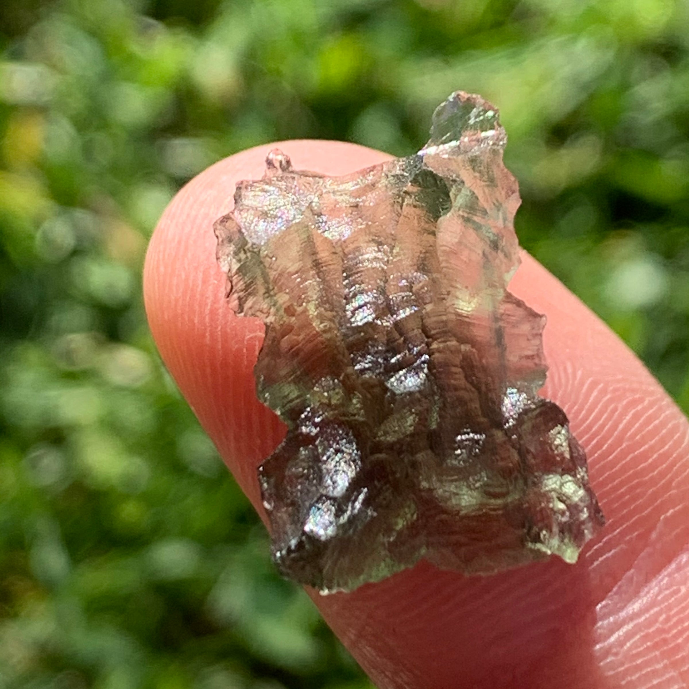 thin green besednice moldavite tektite held up on fingertips for scale