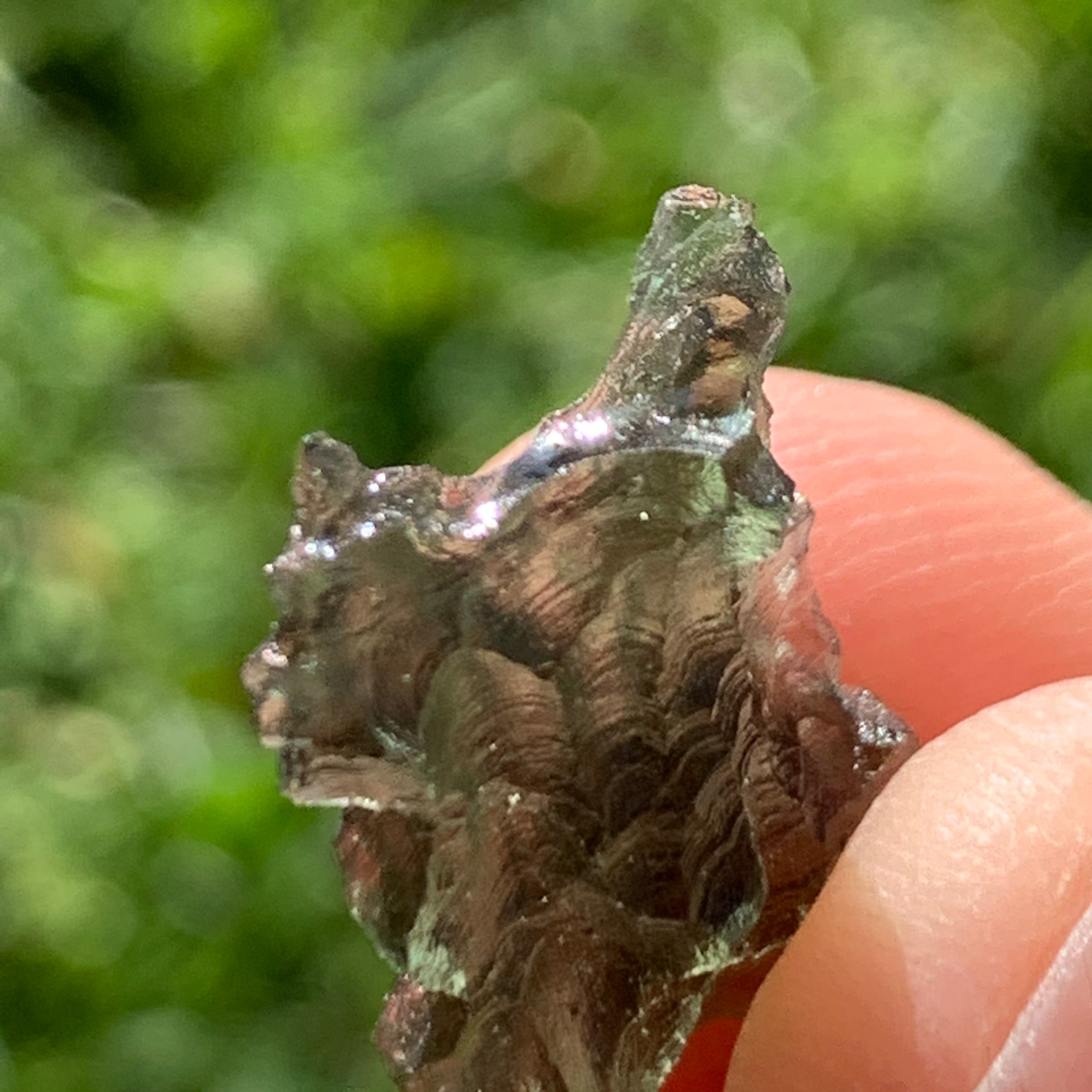 thin green besednice moldavite tektite held up on display to show details