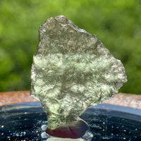 thin green besednice moldavite tektite on display