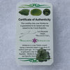 thin green besednice moldavite tektite with a moldavite life certificate of authenticity