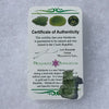 thin green besednice moldavite tektite with a moldavite life certificate of authenticity