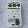 thin green besednice moldavite tektite with a moldavite life certificate of authenticity