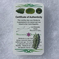 thin green besednice moldavite tektite with a moldavite life certificate of authenticity