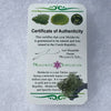 thin green besednice moldavite tektite with a moldavite life certificate of authenticity