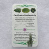 thin green besednice moldavite tektite with a moldavite life certificate of authenticity